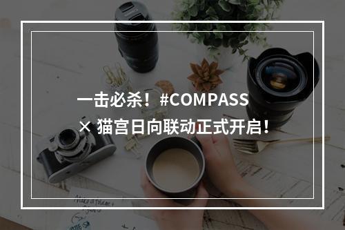 一击必杀！#COMPASS × 猫宫日向联动正式开启！