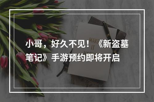 小哥，好久不见！《新盗墓笔记》手游预约即将开启