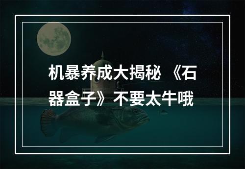 机暴养成大揭秘 《石器盒子》不要太牛哦