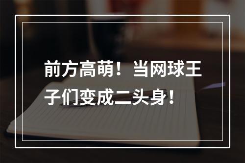 前方高萌！当网球王子们变成二头身！