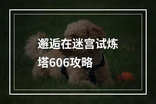 邂逅在迷宫试炼塔606攻略