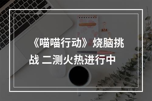 《喵喵行动》烧脑挑战 二测火热进行中