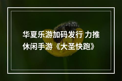 华夏乐游加码发行 力推休闲手游《大圣快跑》