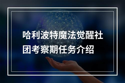 哈利波特魔法觉醒社团考察期任务介绍