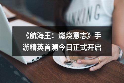 《航海王：燃烧意志》手游精英首测今日正式开启