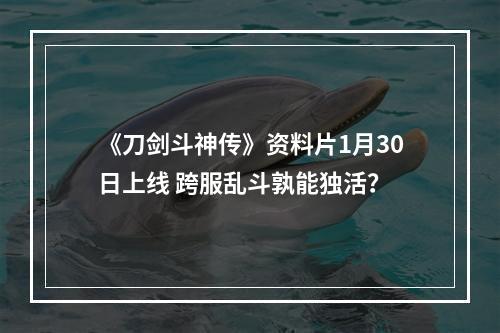 《刀剑斗神传》资料片1月30日上线 跨服乱斗孰能独活？