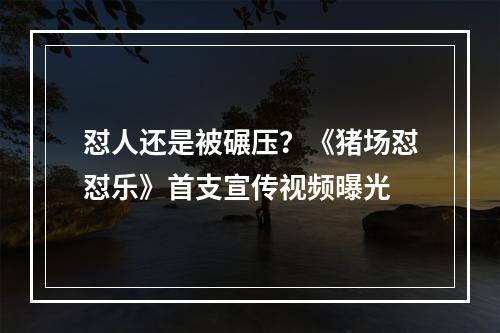 怼人还是被碾压？《猪场怼怼乐》首支宣传视频曝光