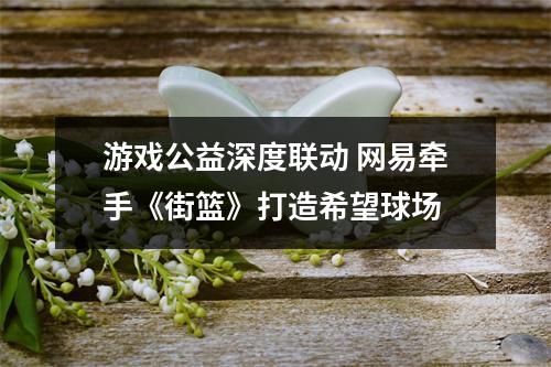 游戏公益深度联动 网易牵手《街篮》打造希望球场