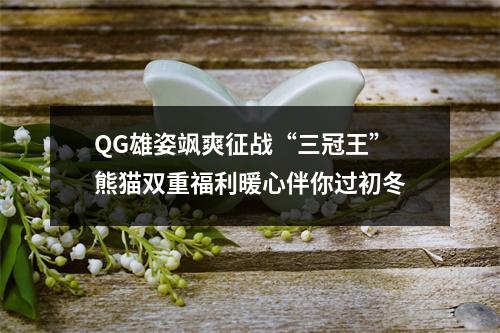 QG雄姿飒爽征战“三冠王”熊猫双重福利暖心伴你过初冬