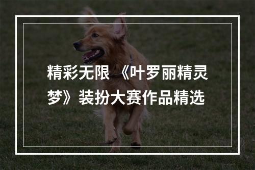 精彩无限 《叶罗丽精灵梦》装扮大赛作品精选