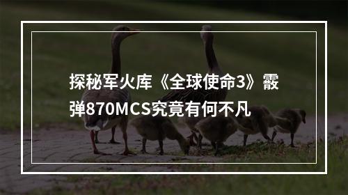 探秘军火库《全球使命3》霰弹870MCS究竟有何不凡