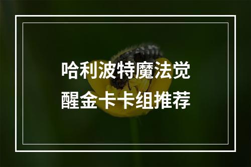 哈利波特魔法觉醒金卡卡组推荐