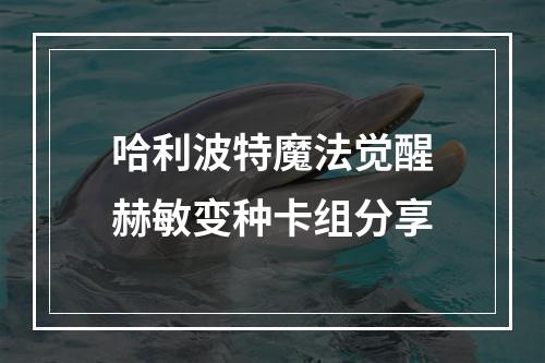 哈利波特魔法觉醒赫敏变种卡组分享