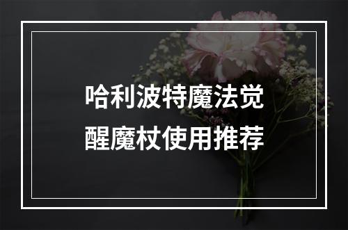 哈利波特魔法觉醒魔杖使用推荐