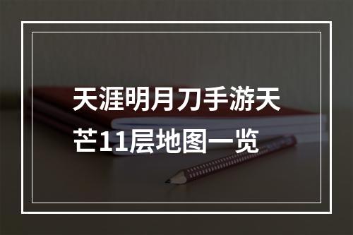 天涯明月刀手游天芒11层地图一览