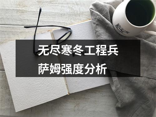 无尽寒冬工程兵萨姆强度分析