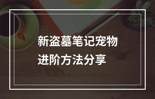 新盗墓笔记宠物进阶方法分享