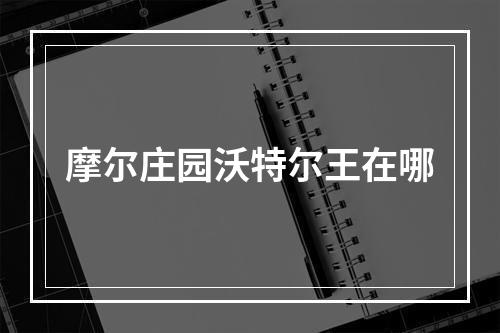 摩尔庄园沃特尔王在哪