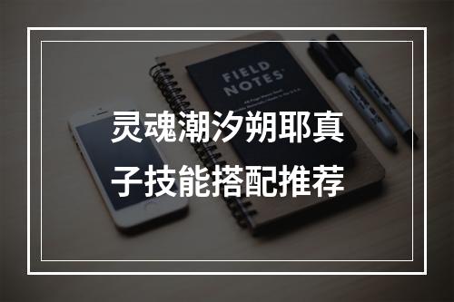 灵魂潮汐朔耶真子技能搭配推荐