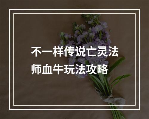 不一样传说亡灵法师血牛玩法攻略