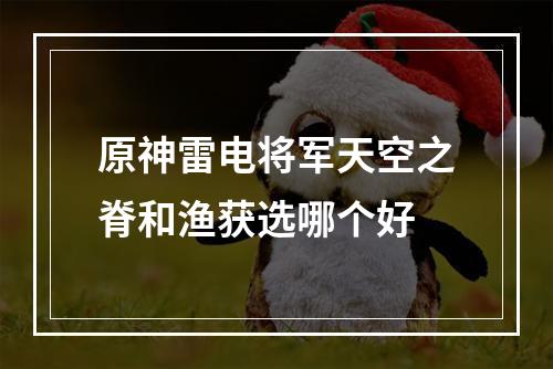 原神雷电将军天空之脊和渔获选哪个好