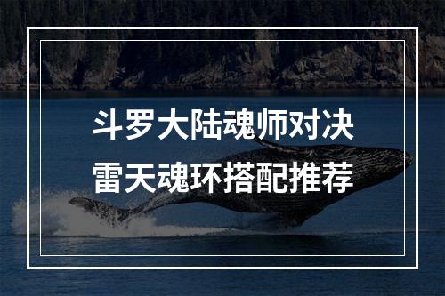 斗罗大陆魂师对决雷天魂环搭配推荐