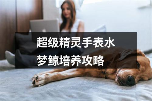 超级精灵手表水梦鲸培养攻略