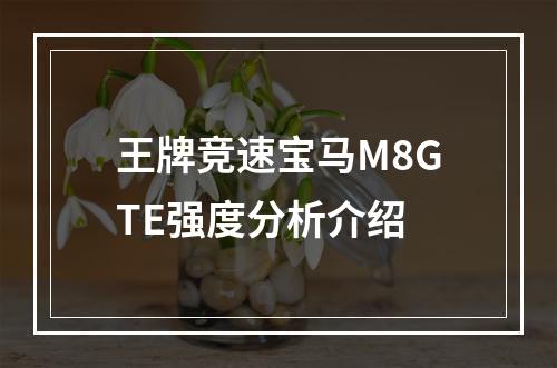 王牌竞速宝马M8GTE强度分析介绍