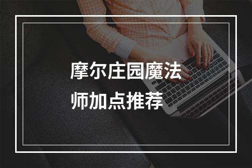 摩尔庄园魔法师加点推荐