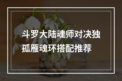 斗罗大陆魂师对决独孤雁魂环搭配推荐