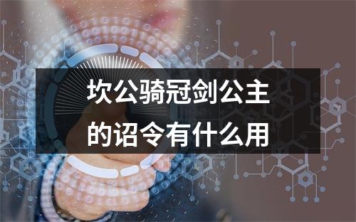 坎公骑冠剑公主的诏令有什么用