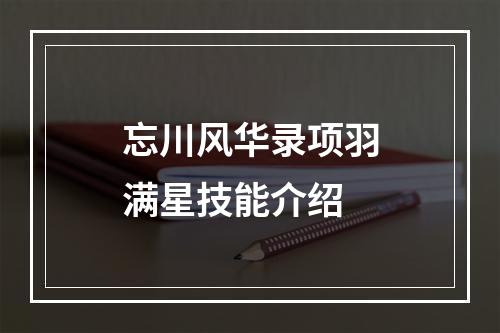 忘川风华录项羽满星技能介绍