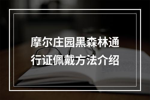 摩尔庄园黑森林通行证佩戴方法介绍