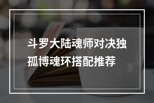 斗罗大陆魂师对决独孤博魂环搭配推荐