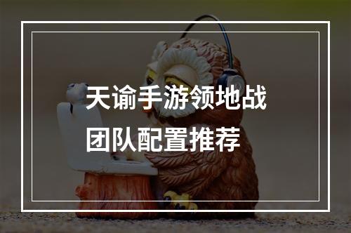 天谕手游领地战团队配置推荐