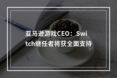 亚马逊游戏CEO：Switch继任者将获全面支持