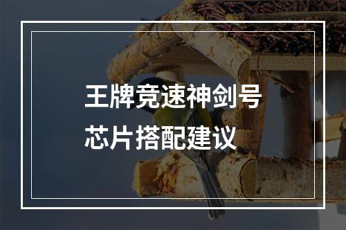 王牌竞速神剑号芯片搭配建议