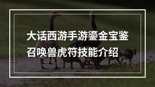 大话西游手游鎏金宝鉴召唤兽虎符技能介绍