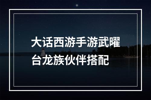 大话西游手游武曜台龙族伙伴搭配