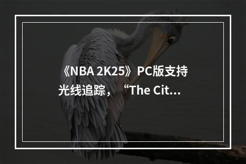 《NBA 2K25》PC版支持光线追踪，“The City”首次登场