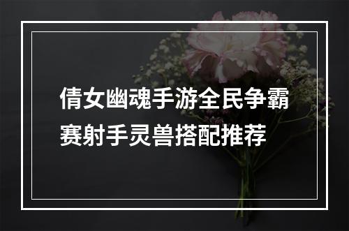 倩女幽魂手游全民争霸赛射手灵兽搭配推荐