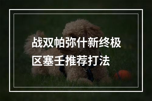 战双帕弥什新终极区塞壬推荐打法