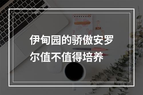 伊甸园的骄傲安罗尔值不值得培养