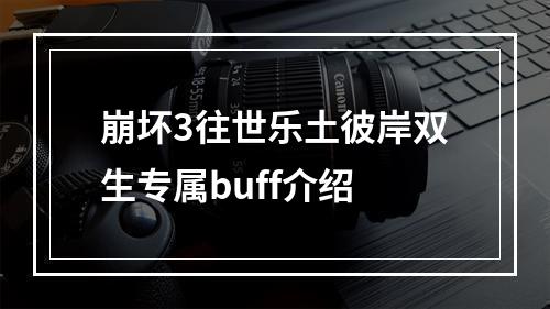 崩坏3往世乐土彼岸双生专属buff介绍