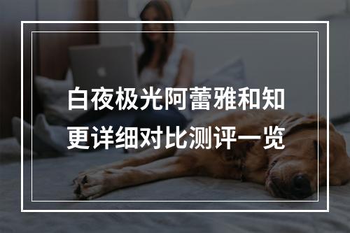 白夜极光阿蕾雅和知更详细对比测评一览