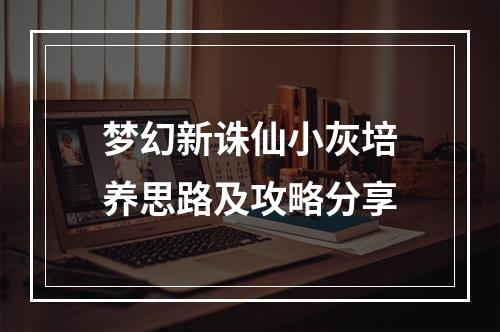 梦幻新诛仙小灰培养思路及攻略分享