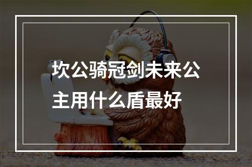 坎公骑冠剑未来公主用什么盾最好