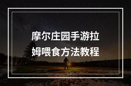 摩尔庄园手游拉姆喂食方法教程