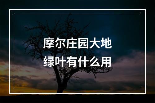 摩尔庄园大地绿叶有什么用