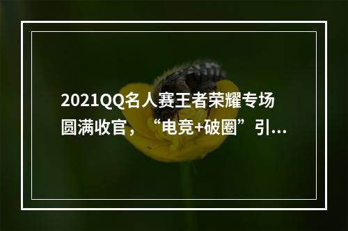 2021QQ名人赛王者荣耀专场圆满收官，“电竞+破圈”引领行业新风潮